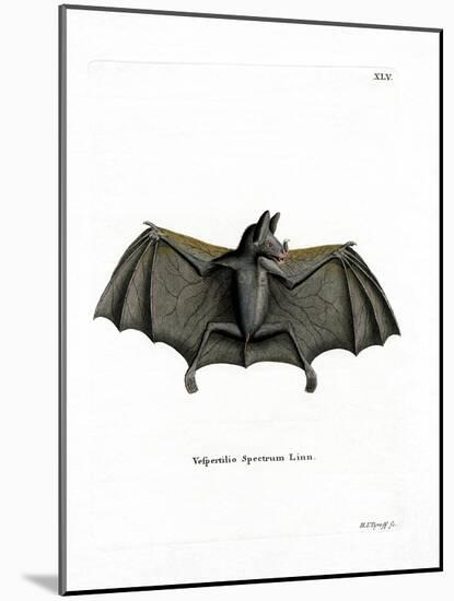 Spectral Bat-null-Mounted Giclee Print