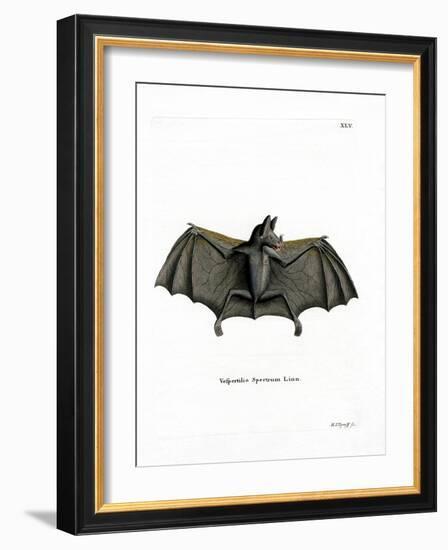 Spectral Bat-null-Framed Giclee Print