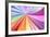 Spectrum Background-osov-Framed Art Print