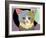 Spectrum Cat-Lanre Adefioye-Framed Giclee Print