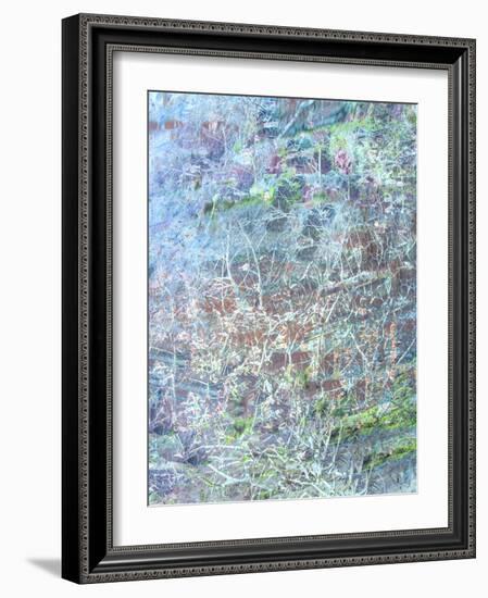 Spectrum in Blue-Doug Chinnery-Framed Photographic Print