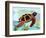 Spectrum Sea Turtle-Lanre Adefioye-Framed Premium Giclee Print