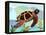 Spectrum Sea Turtle-Lanre Adefioye-Framed Premier Image Canvas