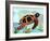 Spectrum Sea Turtle-Lanre Adefioye-Framed Giclee Print