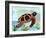 Spectrum Sea Turtle-Lanre Adefioye-Framed Giclee Print