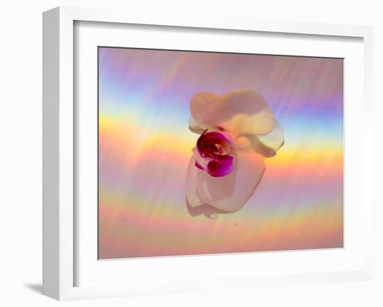 Spectrum-Charles Bowman-Framed Photographic Print