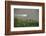 Speed Boat for Oil Industry, Napo River, Amazon Rainforest, Ecuador-Pete Oxford-Framed Photographic Print