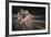 Speed Night 3-Moises Levy-Framed Photographic Print