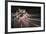 Speed Night 3-Moises Levy-Framed Photographic Print