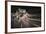 Speed Night 3-Moises Levy-Framed Photographic Print