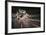 Speed Night 3-Moises Levy-Framed Photographic Print