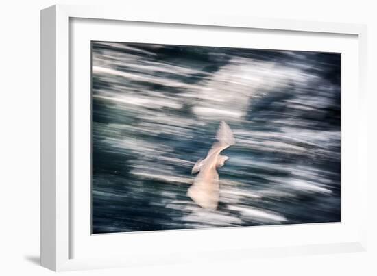 Speed-Ursula Abresch-Framed Photographic Print