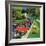 "Speeder on the Median," June 2, 1962-Richard Sargent-Framed Giclee Print