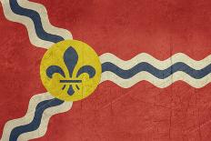 Grunge City Flag Of St Louis City In Missouri In The U.S.A-Speedfighter-Art Print