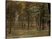Stretched Canvas Print