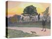 Stretched Canvas Print