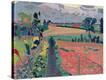 Stretched Canvas Print