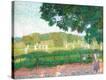 Stretched Canvas Print