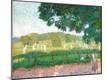 Giclee Print
