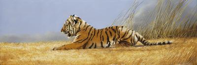 Tigress and Cubs-Spencer Hodge-Giclee Print