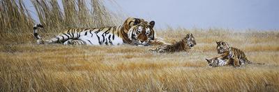 Tigress and Cubs-Spencer Hodge-Framed Giclee Print