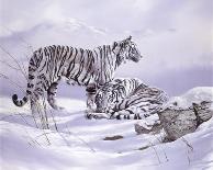 Tigress and Cubs-Spencer Hodge-Framed Giclee Print