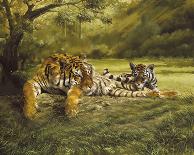 Tigress and Cubs-Spencer Hodge-Framed Giclee Print