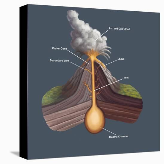 Stretched Canvas Print, , large