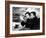 Spencer Tracy; Freddie Bartholomew. "Captains Courageous" [1937], Directed by Victor Fleming.-null-Framed Photographic Print