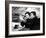 Spencer Tracy; Freddie Bartholomew. "Captains Courageous" [1937], Directed by Victor Fleming.-null-Framed Photographic Print