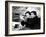 Spencer Tracy; Freddie Bartholomew. "Captains Courageous" [1937], Directed by Victor Fleming.-null-Framed Photographic Print