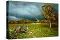 Stretched Canvas Print