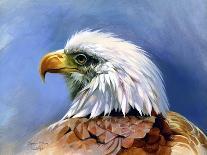 Eagle Portrait-Spencer Williams-Giclee Print