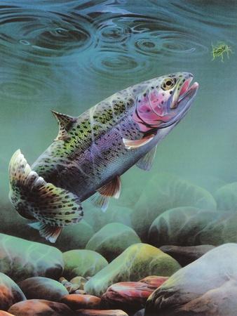 Trout Wall Art: Prints & Paintings