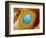 Sperm Production-Micro Discovery-Framed Photographic Print