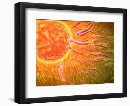 Art Print, , large