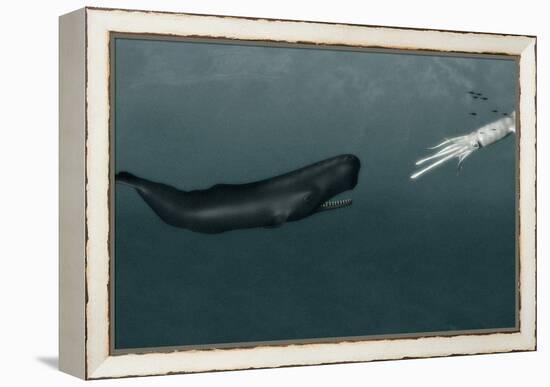 Sperm Whale And Giant Squid-Christian Darkin-Framed Premier Image Canvas