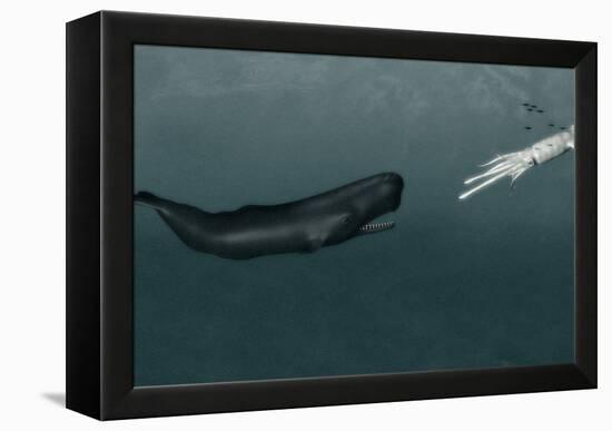 Sperm Whale And Giant Squid-Christian Darkin-Framed Premier Image Canvas