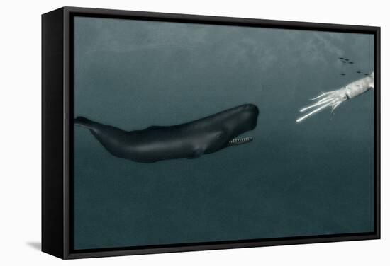Sperm Whale And Giant Squid-Christian Darkin-Framed Premier Image Canvas