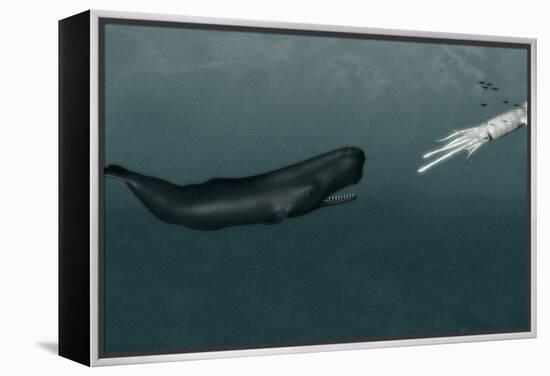 Sperm Whale And Giant Squid-Christian Darkin-Framed Premier Image Canvas