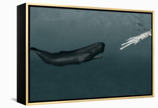 Sperm Whale And Giant Squid-Christian Darkin-Framed Premier Image Canvas