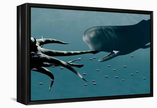 Sperm Whale And Giant Squid-Christian Darkin-Framed Premier Image Canvas