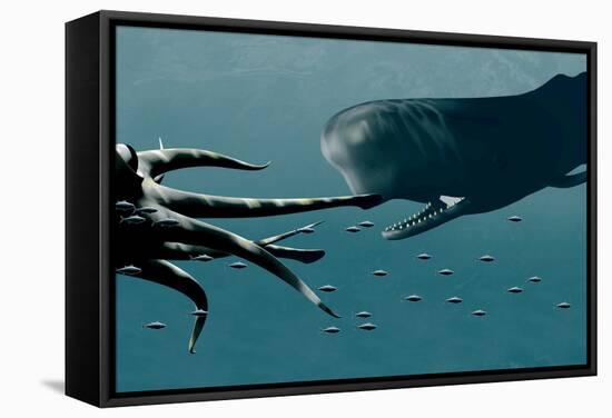 Sperm Whale And Giant Squid-Christian Darkin-Framed Premier Image Canvas