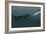 Sperm Whale And Giant Squid-Christian Darkin-Framed Photographic Print