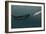 Sperm Whale And Giant Squid-Christian Darkin-Framed Photographic Print