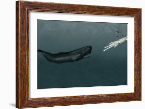 Sperm Whale And Giant Squid-Christian Darkin-Framed Photographic Print