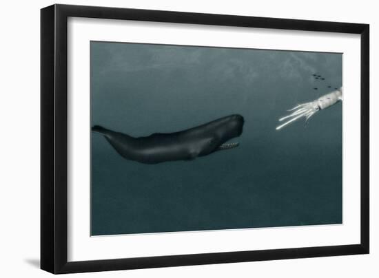 Sperm Whale And Giant Squid-Christian Darkin-Framed Photographic Print