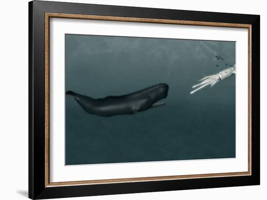 Sperm Whale And Giant Squid-Christian Darkin-Framed Photographic Print