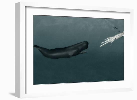 Sperm Whale And Giant Squid-Christian Darkin-Framed Photographic Print