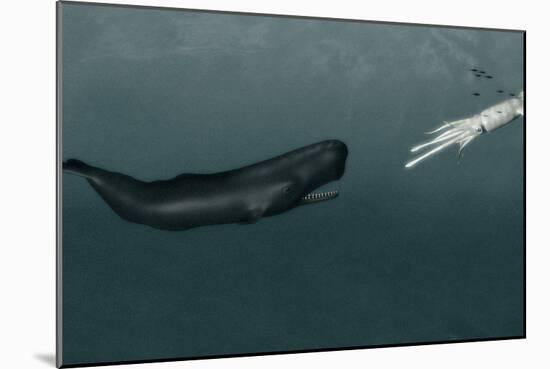 Sperm Whale And Giant Squid-Christian Darkin-Mounted Photographic Print